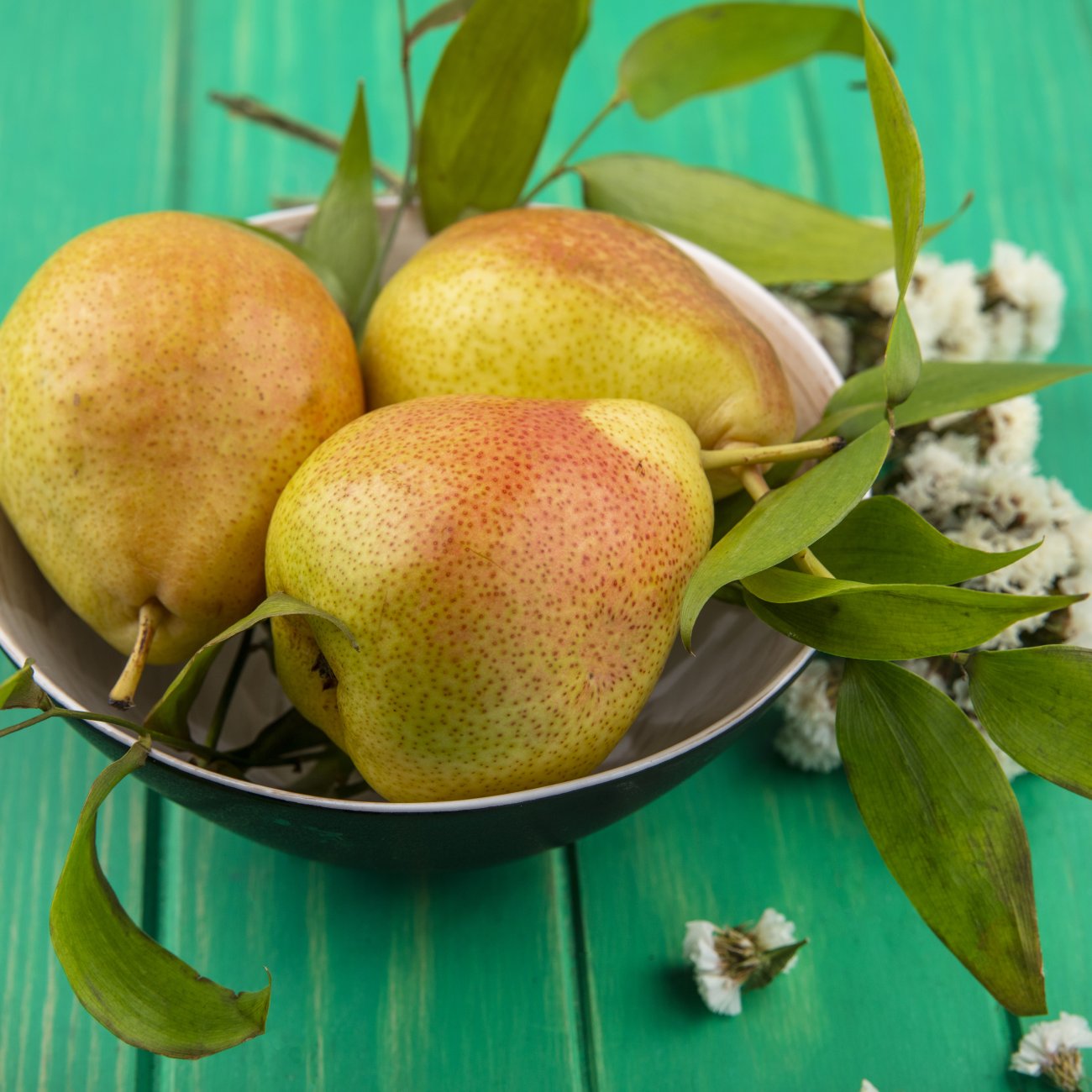 Obrázok Mini hruška nízkokmenná (Pyrus communis) ´GARDEN PEARL´® - jesenná, výška 60-90 cm, kont. C5L